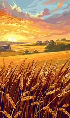 a painting of a sunset over a wheat field with houses in the distance and clouds