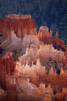 the sun is shining on hoodoos and trees