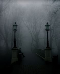 a person sitting on a bench in the foggy park with street lamps and trees