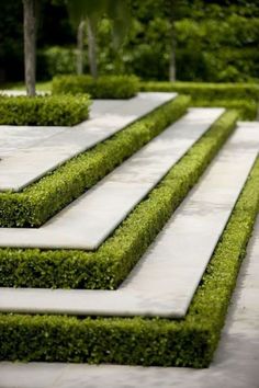 an outdoor garden area with grass and bushes