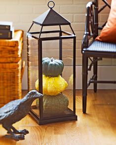 a bird sitting on top of a wooden table next to a lantern filled with pumpkins