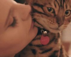 a woman is petting a cat with a red tag on it's collar