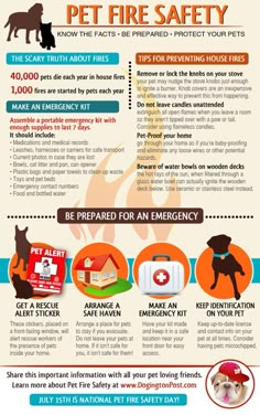 an info sheet describing how to use the fire department's dog safety kit for your home