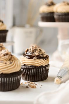 chocolate cupcakes with frosting and nuts on top