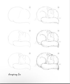 how to draw a sleeping fox step by step for beginners stock photo royalty illustration