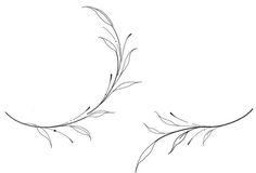 two branches with leaves drawn on them