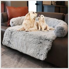 (AdDogs/Cats Bed MatsCouch Cover for DogsSofa Style Luxurious Mat for Petsdogbedmats Couch Cover For Dogs, Couch For Dogs, Dog Couches, Couch Covers For Pets, Fur Mat, Best Sofa Covers