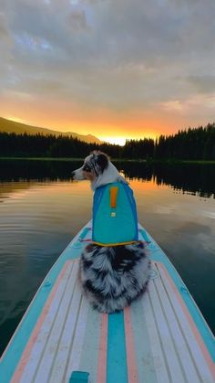 a dog sitting on top of a boat in the middle of a lake at sunset