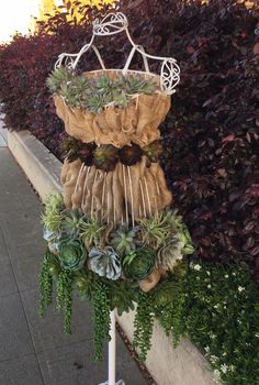 there is a planter with succulents hanging from it's sides