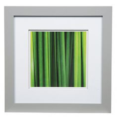 a white frame with green grass in the center and an image of bamboo stalks behind it