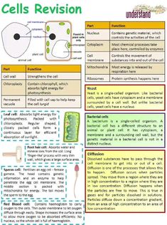 an image of cells and their functions in the cell membrane, with text below it