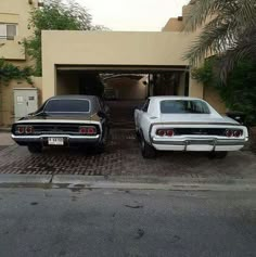 two classic cars parked in front of a garage with palm trees on the side walk