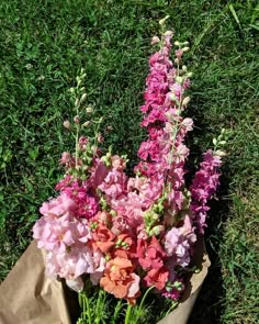 a bunch of flowers that are sitting in the grass on the ground with some paper