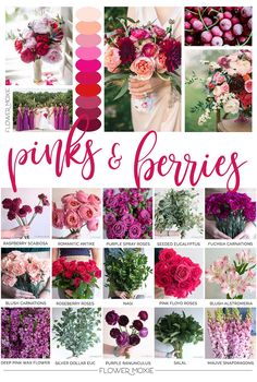 pinks and berries is featured in the magazine, with images of different types of flowers