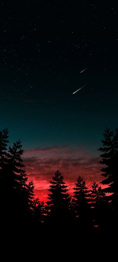 the night sky with stars and trees silhouetted by red, blue, and green hues