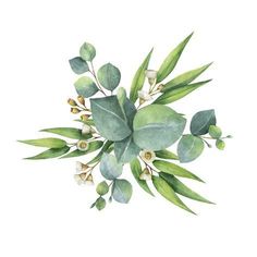 watercolor painting of green leaves and flowers on white background royalty illustration