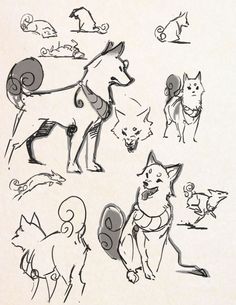 several drawings of dogs and cats in various poses