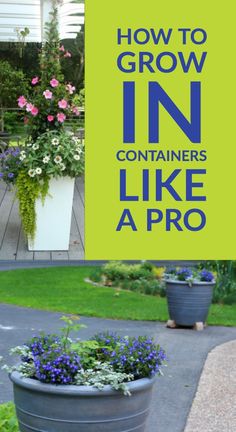 a sign that says how to grow in containers like a pro