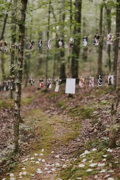 clothes hanging on a line in the woods with pictures pinned to it's sides