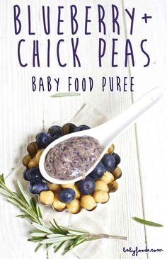 blueberry and chick peas baby food puree