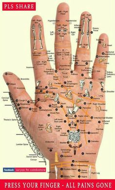 Bolesti Chrbta, Hand Reflexology, Reflexology Chart, Reflexology Massage, Foot Reflexology, Acupressure Points, Trening Abs, Massage Techniques, Pressure Points