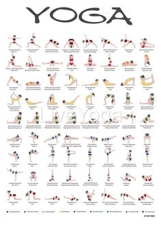 a poster showing different yoga poses and their names