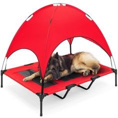 a dog laying on top of a bed with a red tent over it's head