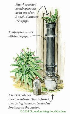 an image of a plant growing out of a metal pipe with instructions on how to use it