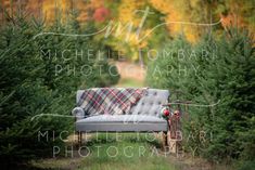 a couch sitting in the middle of a forest