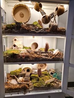 a display case filled with lots of different types of bird houses and other things in it