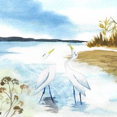 watercolor painting of two white birds standing in shallow water with grass and bushes behind them