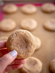 a hand holding a sugar cookie in front of some cookies