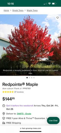 Acer Rubrum, Street Trees, Shade Trees, Maple Tree, Shades