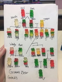 the gummy bear family tree is displayed on a piece of paper with writing underneath it