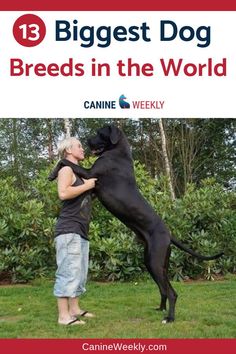 a large black dog standing on it's hind legs in front of a woman