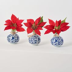 three blue and white vases with red poinsettias in them on a table