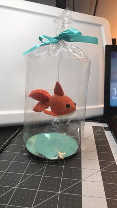 a small goldfish in a clear plastic bag