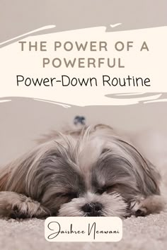 The Power of a Powerful Power-Down Routine - Jaishree Nenwani Good Night Routine, Social Media Growth Strategy, Boss Aesthetic, Midlife Women, Trying To Sleep, Clear Your Mind, Time Management Tips, Tomorrow Will Be Better