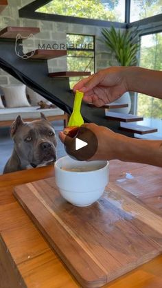 a dog is eating out of a bowl while someone holds the spoon in their hand