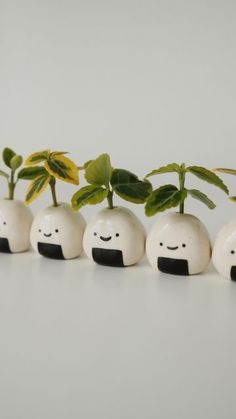 five small plants with faces painted on them are lined up in the shape of eggs