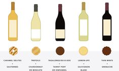 the different types of wine are shown in this graphic style, including bottles and cookies