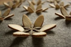 several pieces of wood sitting on top of a black cloth covered in leaves and petals