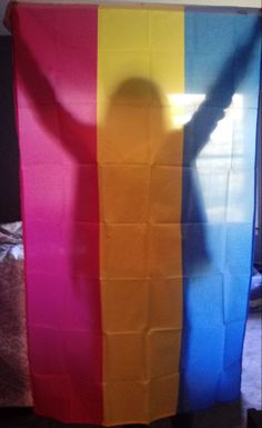 a person standing in front of a rainbow colored flag with their shadow on the ground