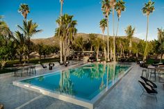 an empty swimming pool surrounded by palm trees