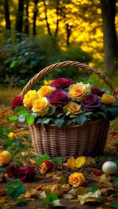 a basket full of roses sitting on the ground in front of leaves and pumpkins