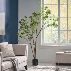 a living room with blue walls and white furniture