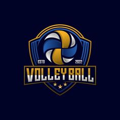 the volleyball logo on a dark background with gold and blue colors, it is an emblem for