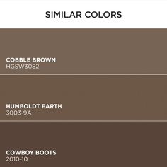 some brown colors are in the same color scheme