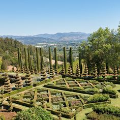 the garden is surrounded by many trees and bushes