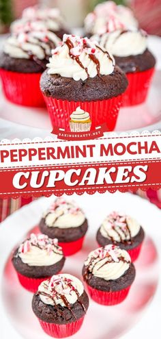 peppermint mocha cupcakes on a white plate